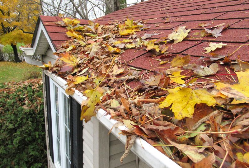 Roofing Maintenance Tips
